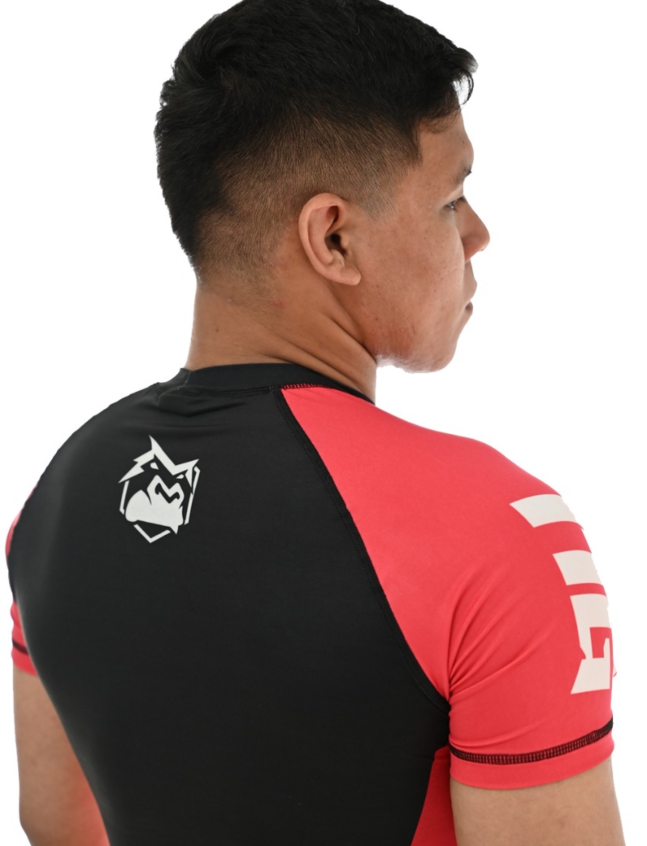 PINSPARK Camiseta Masculina Rash Guard FPS 50+, Manga